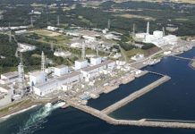 Chương trình điện hạt nhân Việt Nam: Những điều kiện để thành công