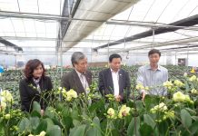 Dọn đường cho doanh nghiệp đầu tư vào KHCN trong nông nghiệp