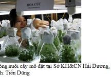 Tăng cường hợp tác song phương và đa phương nhằm thúc đẩy khoa học công nghệ