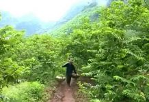 Xây dựng và bảo hộ nhãn hiệu tập thể Na La Hiên