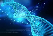 Ngăn chặn quá trình lão hóa bằng cách xác lập cơ chế chuyển động đúng hướng của AND