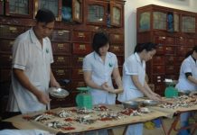 Đẩy mạnh hơn nữa việc chữa bệnh bằng Đông Y (YHCT)