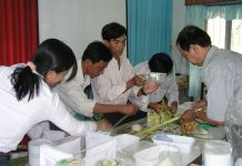 Chuyện làm dự án