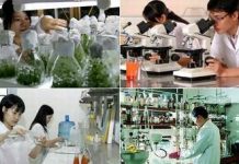 Đặt hàng 6 đề tài khoa học và công nghệ cấp quốc gia