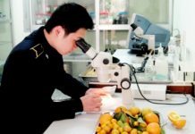 Dự thảo Nghị định quy định xử phạt vi phạm hành chính trong lĩnh vực giống cây trồng, bảo vệ và kiểm dịch thực vật