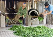 Ðể các tổ chức khoa học và công nghệ công lập hoạt động hiệu quả