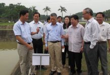 Đưa cây chè vào chương trình phát triển sản phẩm Quốc gia