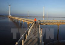 Giải pháp bền vững giảm phát thải khí nhà kính bằng phát triển điện gió