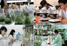 Thị trường KHCN: Cần phát triển nhiều mô hình trung gian mới