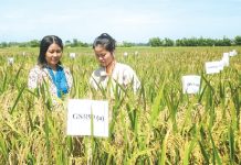 Ứng dụng công nghệ thích ứng với biến đổi khí hậu cho ngành nông nghiệp