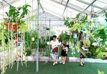 PHÁT TRIỂN KINH TẾ SINH VẬT CẢNH ĐÓNG GÓP CHO SỰ PHÁT TRIỂN KINH TẾ – XÃ HỘI ĐỊA PHƯƠNG