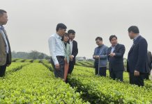 PHÁT HUY VAI TRÒ CỦA HỘI VIÊN HỘI LÀM VƯỜN TRONG CÔNG TÁC ỨNG DỤNG VÀ CHUYỂN GIAO KHOA HỌC VÀ CÔNG NGHỆ