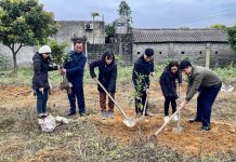 HỘI LÀM VƯỜN TỈNH TRIỂN KHAI TRIỂN KHAI MÔ HÌNH TRỒNG CÂY ĂN QUẢ, HƯỞNG ỨNG TẾT TRỒNG CÂY