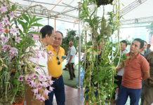 CÁC HỘI THÀNH VIÊN LIÊN HIỆP HỘI VỚI HOẠT ĐỘNG CHUYỂN GIAO CÔNG NGHỆ